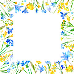 Floral square frame of a wild flowers and herbs on a white background.Wreath of a buttercup,cornflower,bluebell,forget-me-not,lobelia,snowdrop flowers.Watercolor hand drawn illustration.