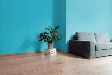 Room interior with bright wooden floor with blue wall, modern comfortable sofa and plant on wooden box