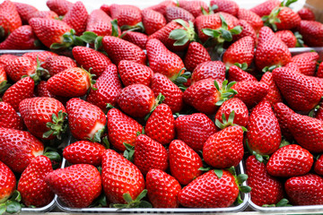 Packages of juicy strawberries for sale on the greek market. Horizontal. Close up.