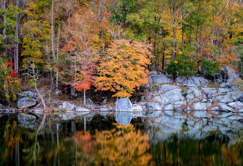 C&O Canal Fall Scene 1