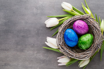 Spring greeting card. Easter eggs in the nest. Spring flowers tulips.