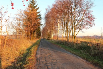 View of the landscape at sunset