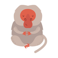 Macaque monkey rare animal vector.