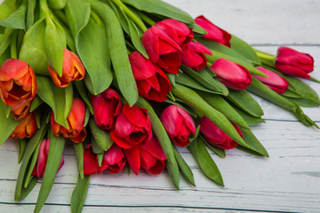 Tulips