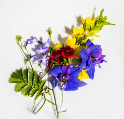 Bouquet from blue hydrangeas and yellow asters, a flower background