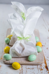 Easter bunny gift bag