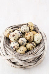 Obraz premium Quail eggs of birds nest. Easter composition.