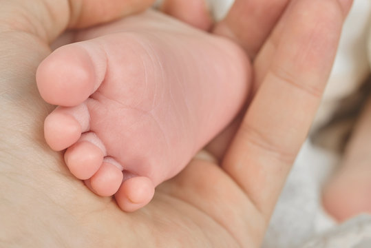 Parent holding in the hand foot of newborn baby