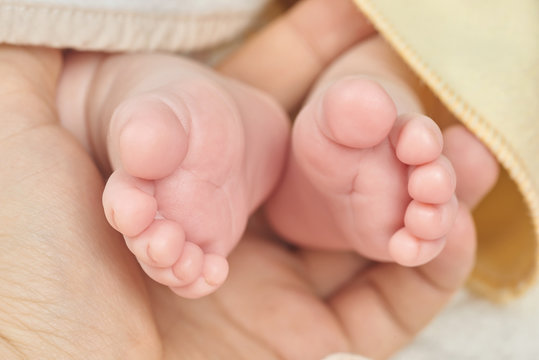 Parent holding in the hand feet of newborn baby