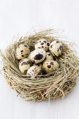 Naklejka na ściany i meble Quail eggs of birds nest. Easter composition.