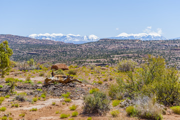 Fototapeta na wymiar Looking Across the Utah Desert at Snow Capped Mountains. 