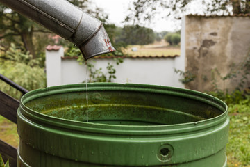 Regentonne, rain barrel