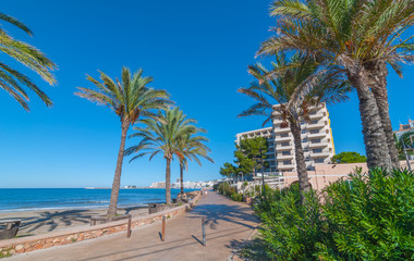 Fototapeta premium Ibiza sunshine on the waterfront in Sant Antoni de Portmany, Take a walk along the main boardwalk, now a stone concourse beside the beach. Places to stay in Ibiza. 