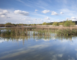Park of Pateira Fermentelos