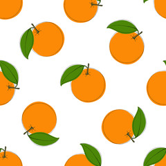 Seamless vector pattern with hand drawn oranges on white background. In vintage style.