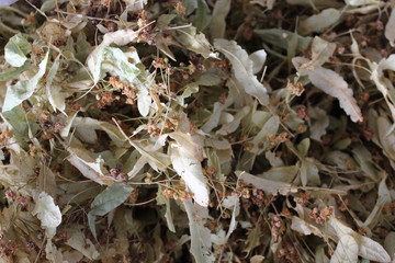 Dried linden, lime tea