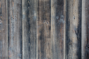 Woody gray background texture