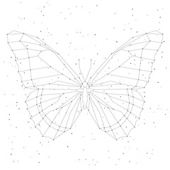 Geometric linear butterfly, constellation. Vector illustration