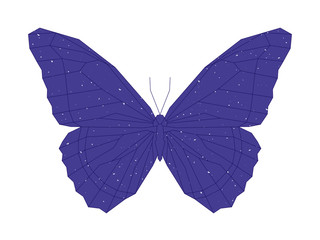 Abstract geometric butterfly. Vector illustration