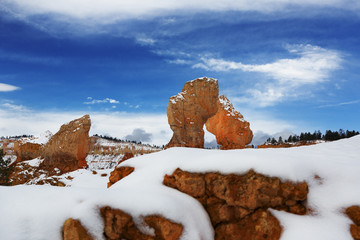 Snow, Bryce National Park, Utah