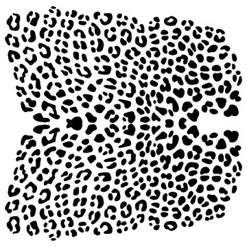 vector background of leopard skin pattern