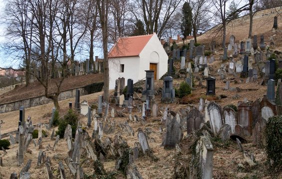Jewish cemetery in Boskovice