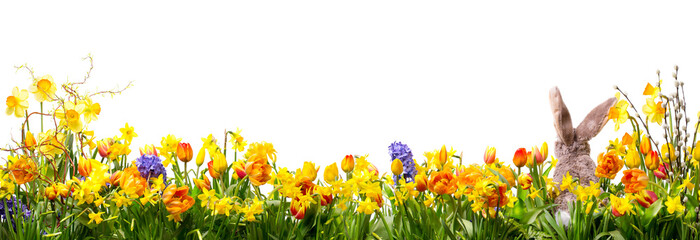 Ostern - Panorama - Wiese mit Blumen und Osterhase