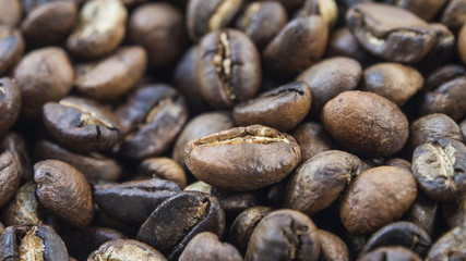 Coffee Bean Roast in white background
