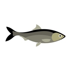 Fish icon, flat style