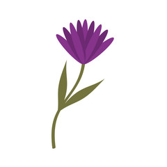 cute flower carden isolated icon vector illustration design