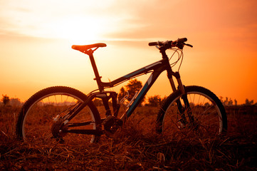 Naklejka na ściany i meble Bikecycle on sunset 