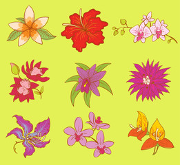 Beautiful watercolor flower set.