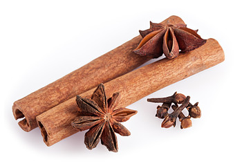 Cinnamon and anise on white background.