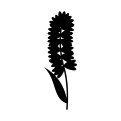 cute flower carden isolated icon vector illustration design