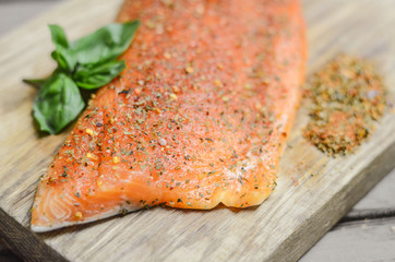 Salmon