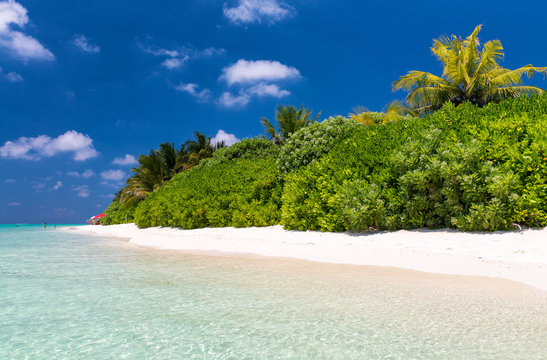 Beautiful coast of Thoddoo, Maldives