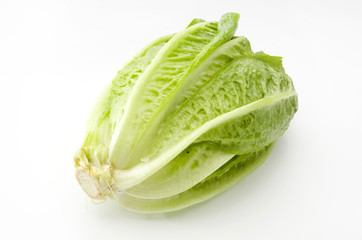 ロメインレタス