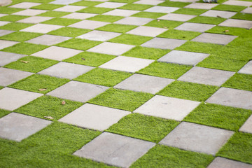 Stock Photo - checkerboard background of green grass.