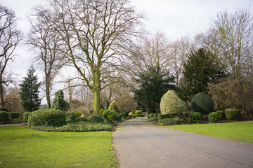 Park setting at springtime.