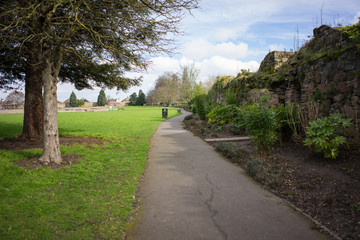 Park setting at springtime.