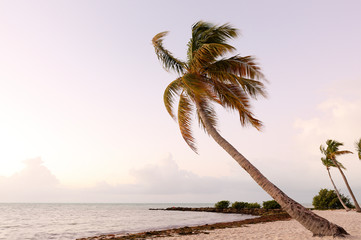 Palm Trees at Smathers Beach at Twilight. Smathers Beach is the largest public beach in Key West, Florida, United States. It is approximately a half mile long