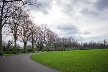 Park setting at springtime.