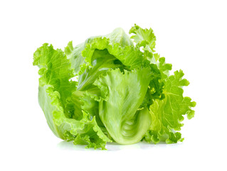 Green Iceberg lettuce on White Background