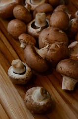 Mushrooms