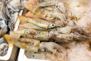 Sea fish on market stalls