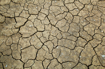 Background and texture with cracked earth