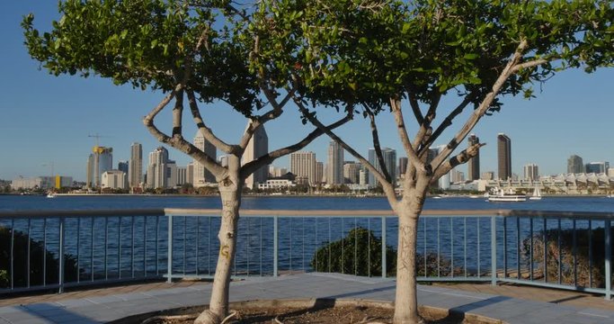 SAN DIEGO, CA - Circa February, 2017 - A picturesque view of the San Diego skyline as seen from Centennial Park on Coronado Island.  	