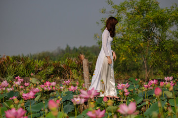 Beautiful woman with Vietnam traditional on lotus field 