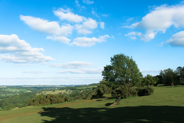 Leckhampton Hill