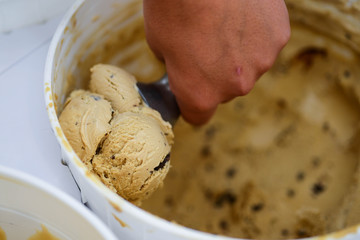 Chocolate Chip Ice Cream